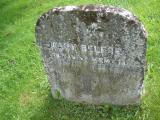 image of grave number 244906